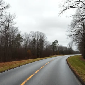 A quiet tree-lined road in Greenwood County representing a somber mood.