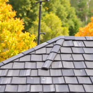 How to Choose the Right Roof Design for Your Home's Climate Challenges