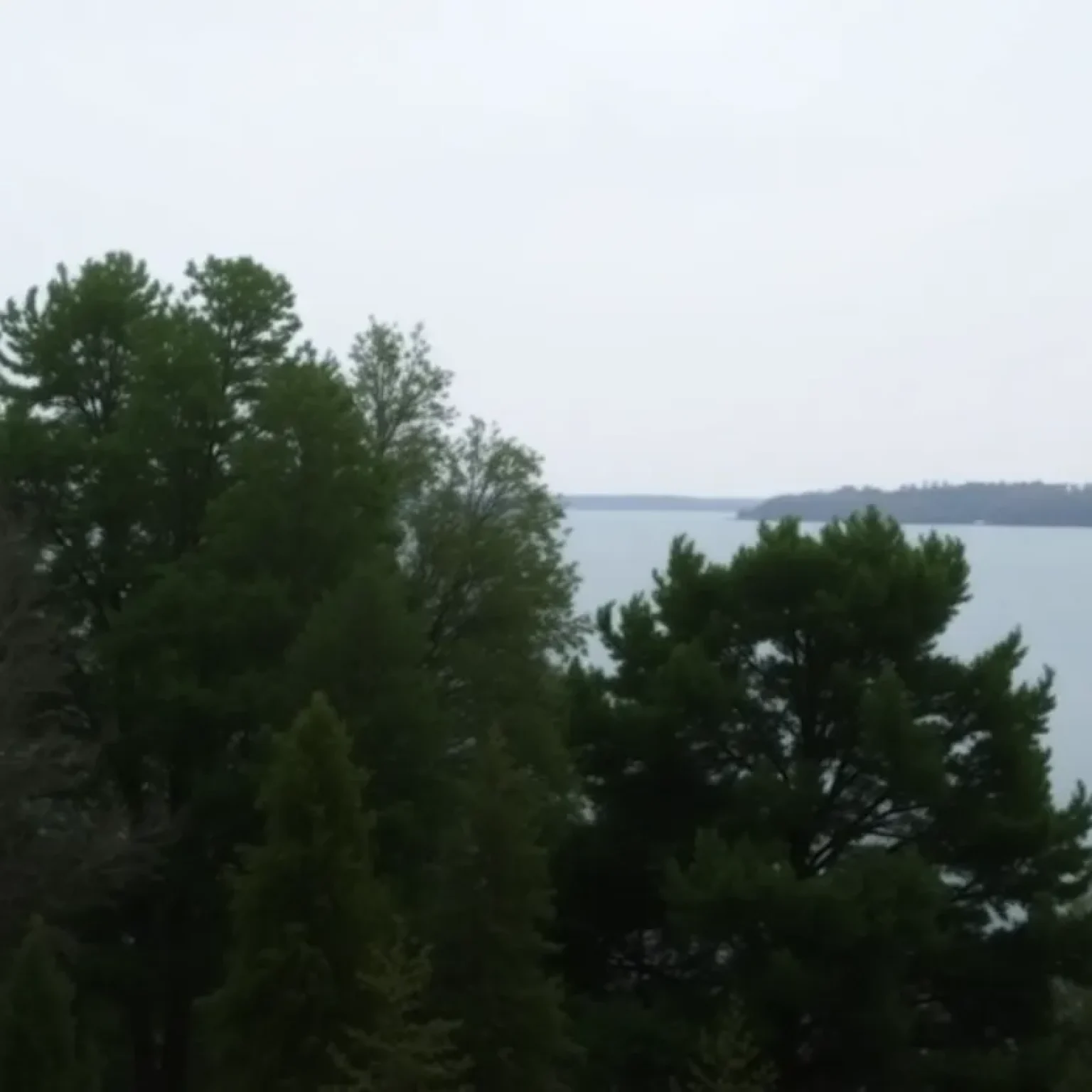 Tranquil shot of Lake Greenwood's water surrounded by trees