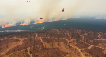 South Carolina Declares State of Emergency Due to Wildfires