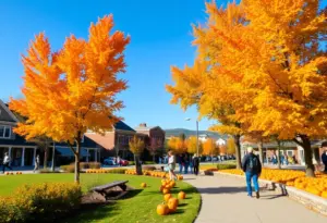 Colorful autumn day in Clinton, SC with clear skies and trees with fall foliage.