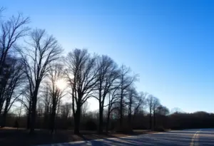 Morning landscape in Clinton, South Carolina with clear skies