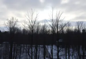 Chilly winter landscape in Clinton, SC showing cloudy skies and bare trees.
