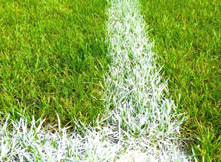 Close-up of football field yard line
