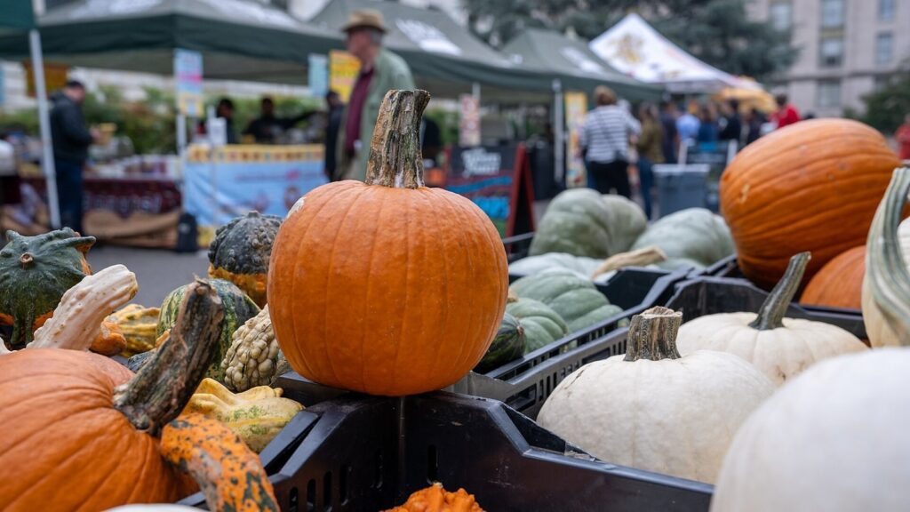 Pumpkins and gourds at a fall farmers market stall