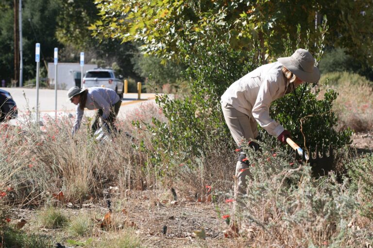 About 125 PC Students Volunteer Across Clinton on Service Day