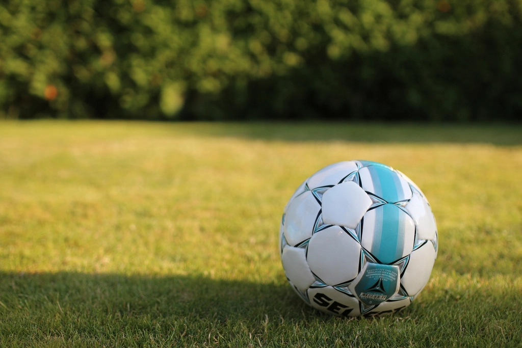 Soccer ball resting on grass